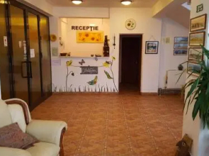 Floarea Soarelui