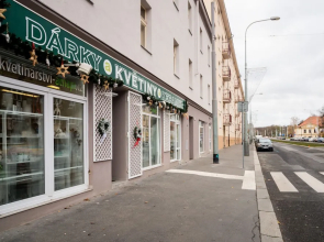 2 Bedroom Home near Prague Castle
