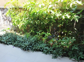 Magus Homestay