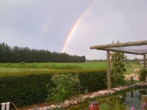 Fish Eagles Lodge