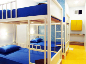 Treechart Hostel