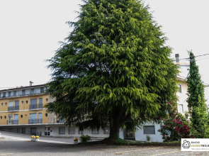 Casa Liviya