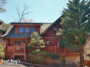 Big Daddy Bear 545 - Five Bedroom Cabin