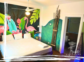 Tribe Inn & Rooftop Lounge