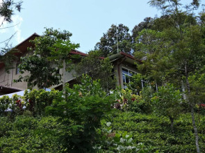 Guest at Bandarawela