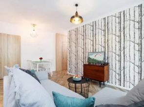 Apartment Krakow Krasinskiego