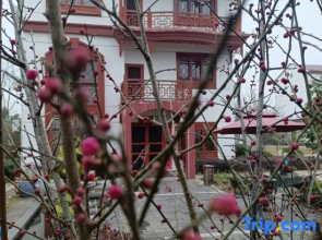 Jinxi Xiangshe Homestay