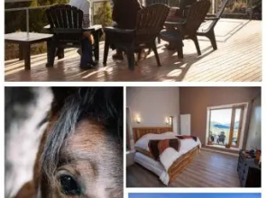 Cabanas Hacia El Sur