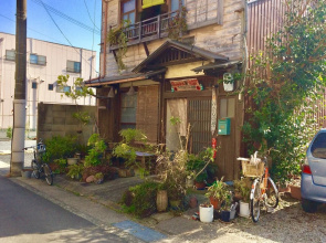 Buddha Guest House - Hostel