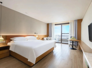 Vienna International Hotel (Baoting Center)