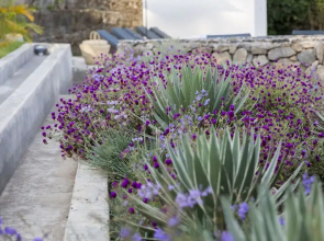 Arusha Villa Karamu Coffee Estate
