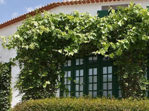 Casa Da Cortinha