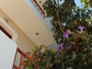 Alexandra Apartments Stalis by Estia