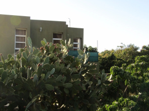 APARTMENTS ON AN ORGANIC FARM BY THE COAST, Frontera