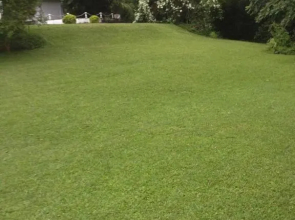 Emfuleni Bed and Breakfast