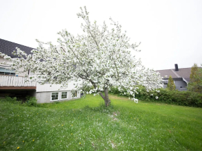 Apartment at Ranheim