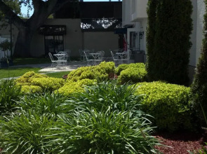 The Hotel Aria - Mountain View