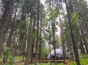 Вили Улей Карелия