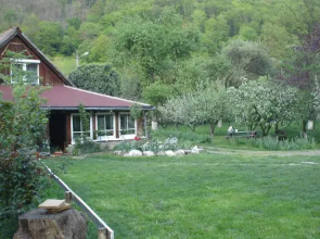 Pensiunea Iedera Alba