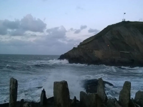 Hollies and Ilfracombe Harbour View