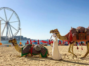 HAPPY SEASON I Amwaj apartment