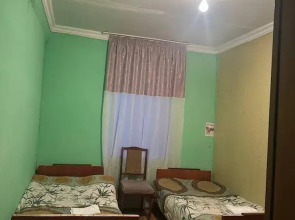 Qvis sakhli