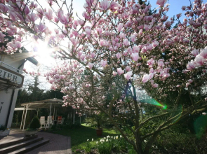 Appartements Biedermeier