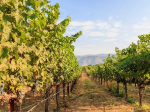 Courtyard by Marriott Novato Marin Sonoma