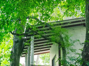 Tamarind Tree House