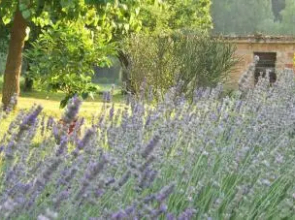 B&B Mulino Barchio