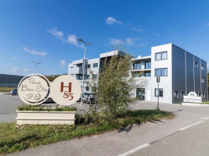 Le H85