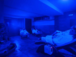 Halex Room & Food