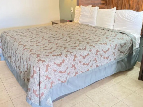 Weslaco Inn by Capital O Near Mercedes