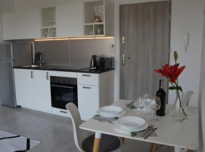 Apartament Gliwice Centrum Witkiewicza I