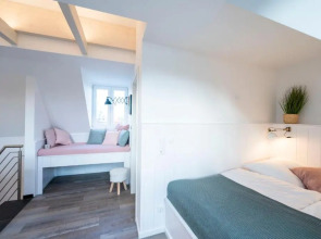 Willem und Konsorten - Edith de Meer