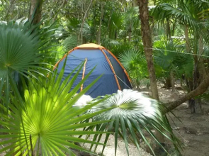 Turquesa Tulum Jungle Camping