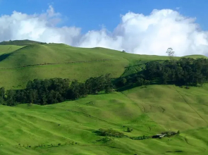 Wailea Ekahi 34A