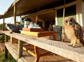 Laikipia Wilderness Camp