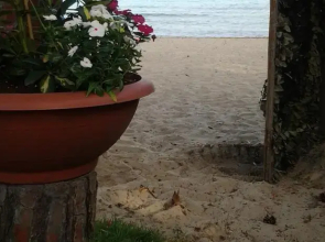La Palafitta Del Pescatore