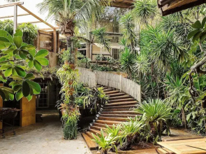 Ypê Greenhouse