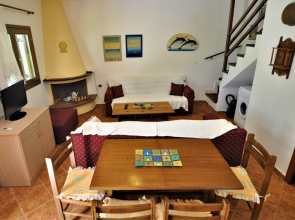 Zennova #23 Nikiti Family Green Nest