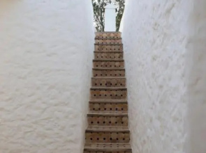 Unique Architect's House