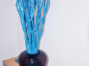 Zinn Apartments The Royals