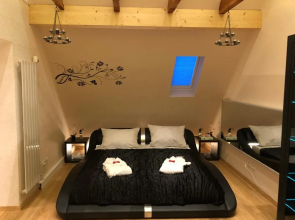 CATS Dreams
