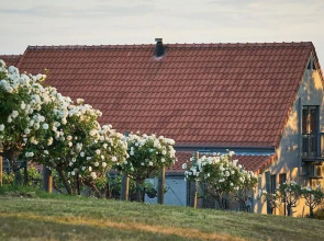 Wandin Valley Estate