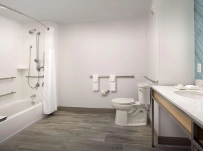 Hilton Garden Inn Orlando Downtown