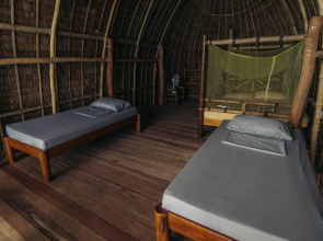 Isla - The Isla Experience