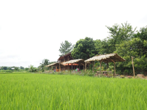 Ton Lang Homestay