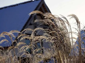 Kapitaensweg 2 Kajuete 06