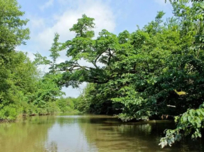 Geo Palace Kolkheti National Park